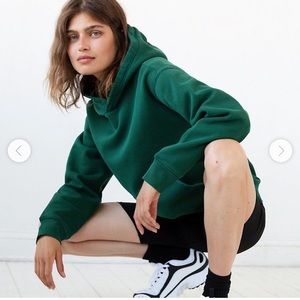 Aritzia TNA Cozy Fleece Perfect Hoodie
